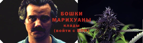 твердый Бородино