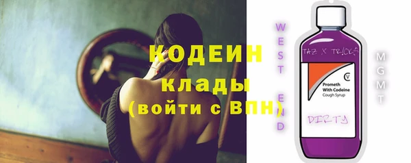 твердый Бородино