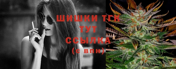 твердый Бородино