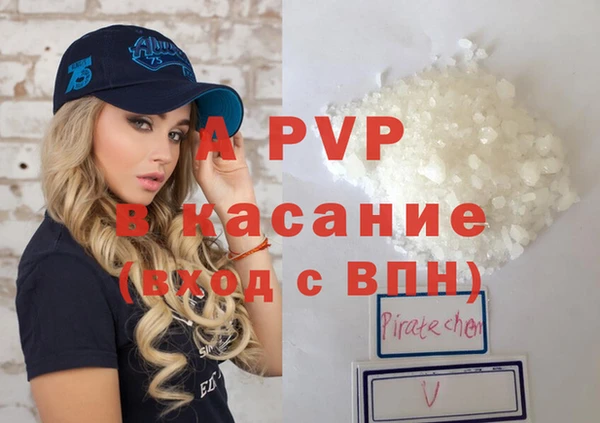 твердый Бородино